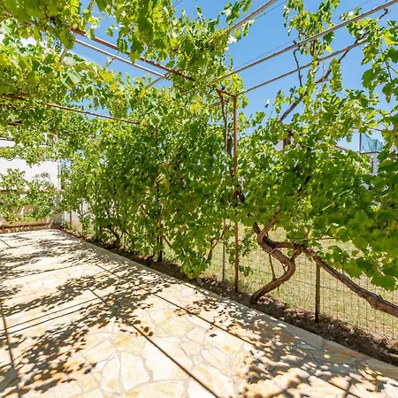 Cozy In With Wifi Apartmán Privlaka (Zadar)
