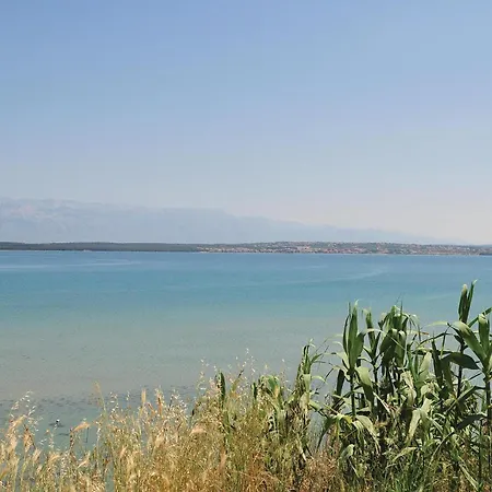 Apartment In With Wifi